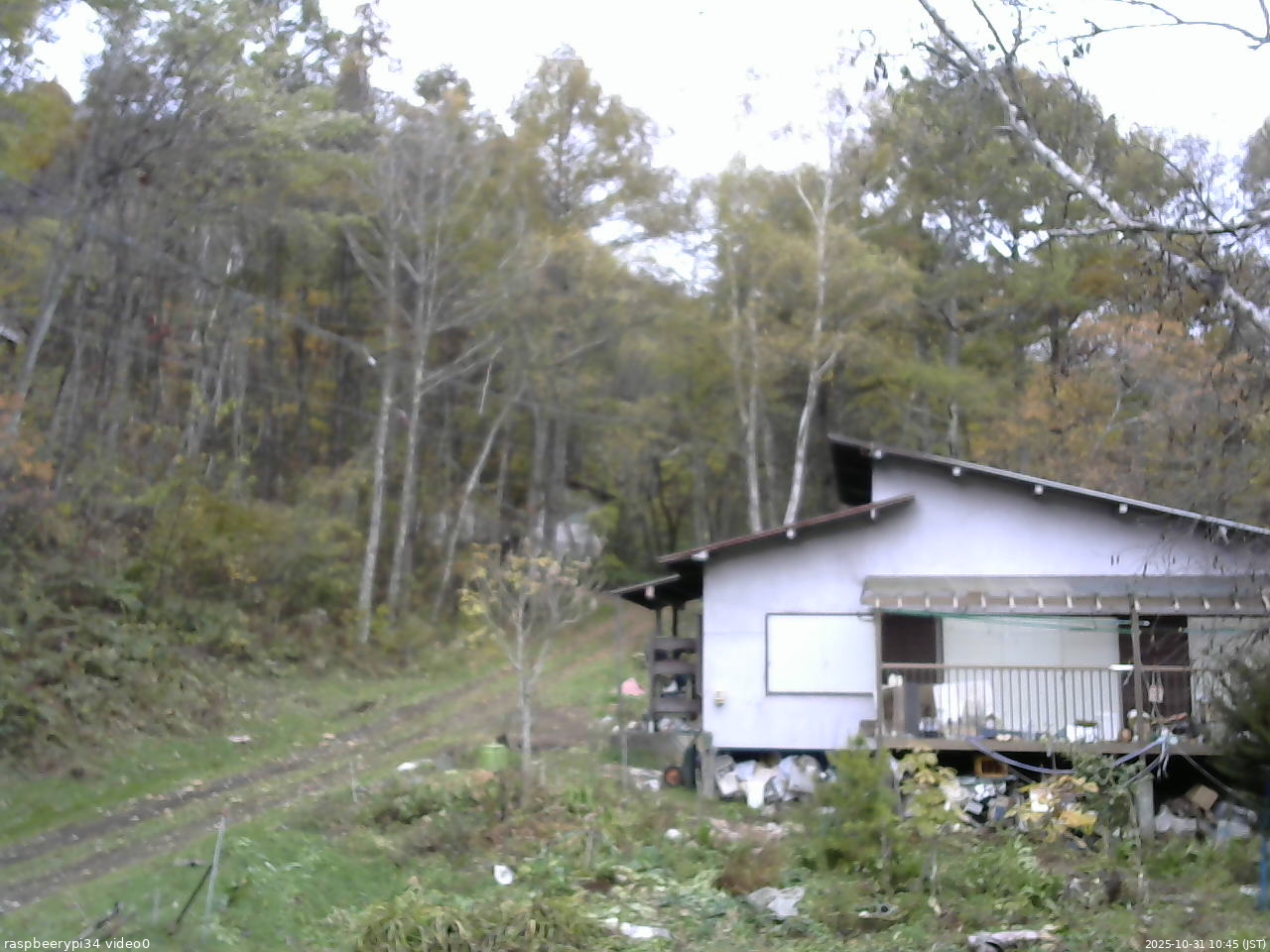 長野県菅平高原 ゆたか山荘 西側(坂上) 2025/10/31 10:45