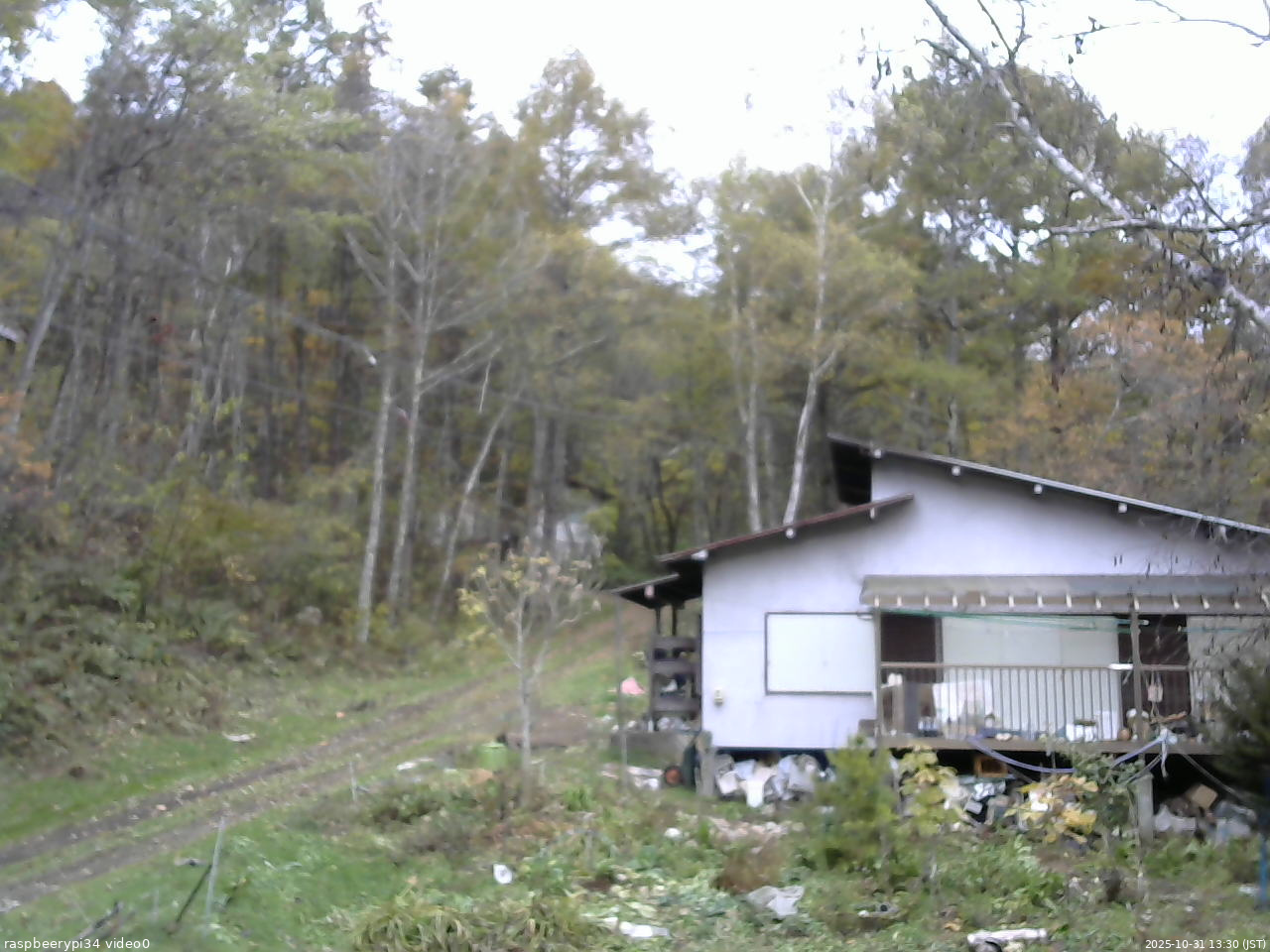 長野県菅平高原 ゆたか山荘 西側(坂上) 2025/10/31 13:30