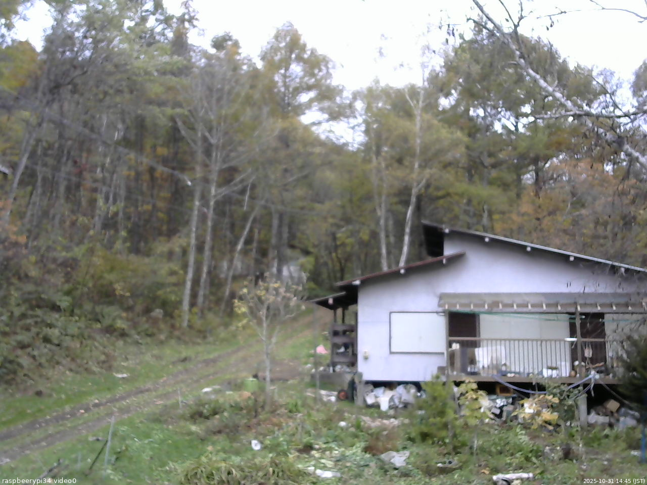 長野県菅平高原 ゆたか山荘 西側(坂上) 2025/10/31 14:45