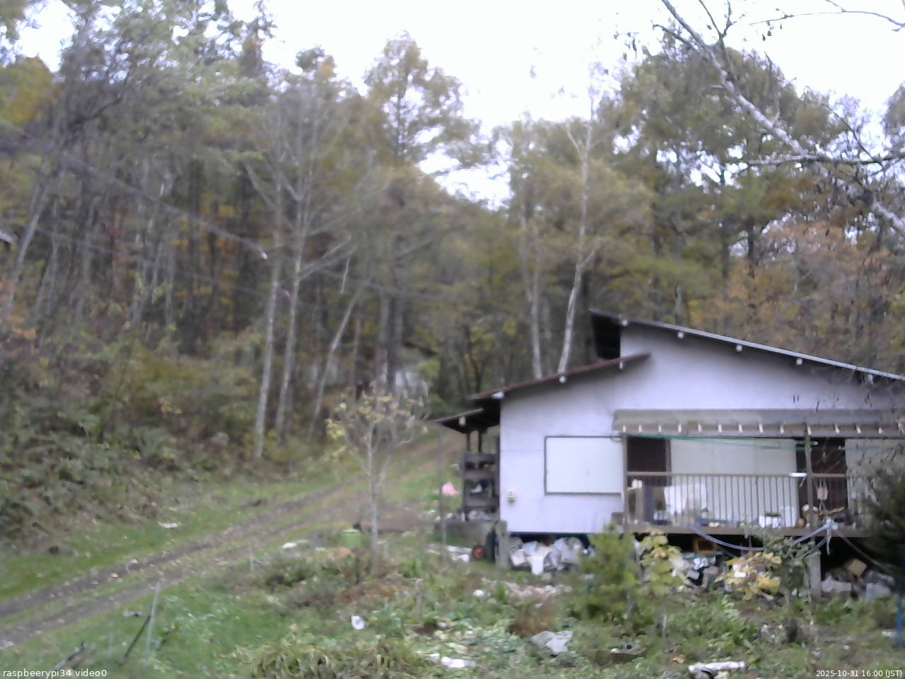 長野県菅平高原 ゆたか山荘 西側(坂上) 2025/10/31 16:00