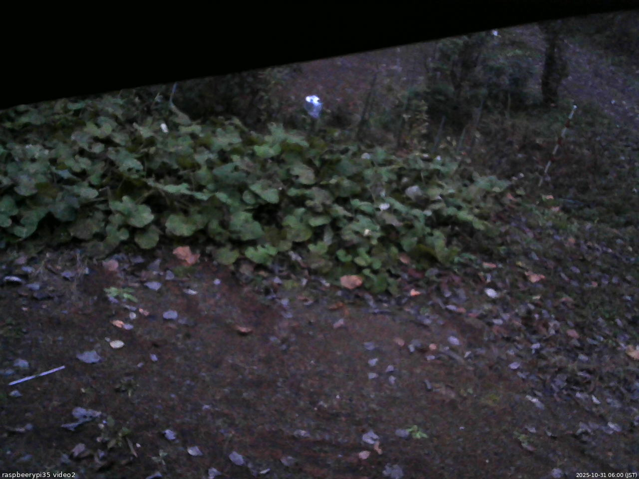 長野県菅平高原 ゆたか山荘 駐車場 2025/10/31 06:00