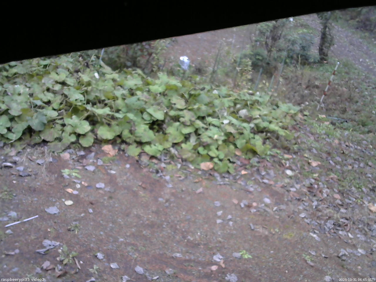 長野県菅平高原 ゆたか山荘 駐車場 2025/10/31 06:45