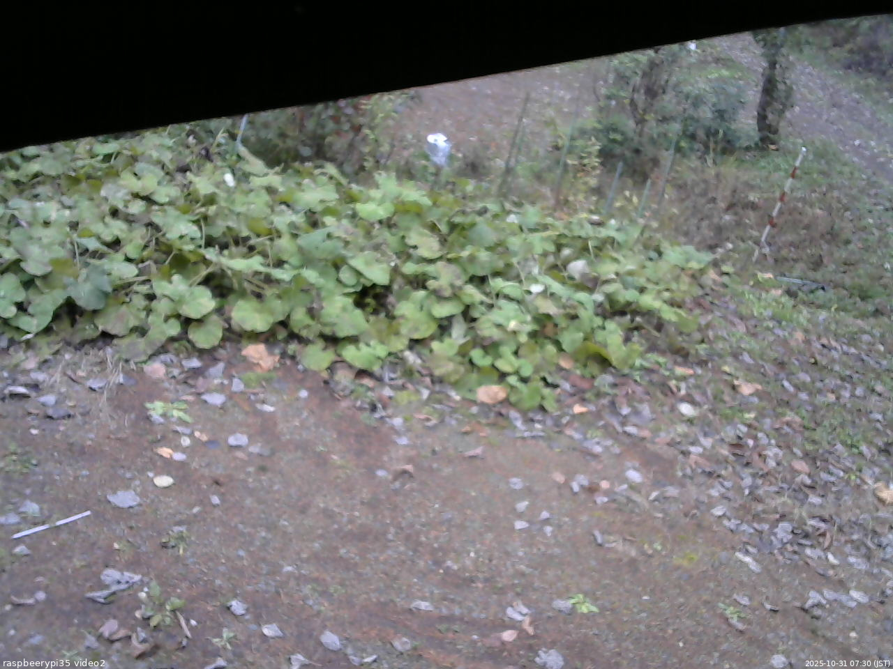 長野県菅平高原 ゆたか山荘 駐車場 2025/10/31 07:30