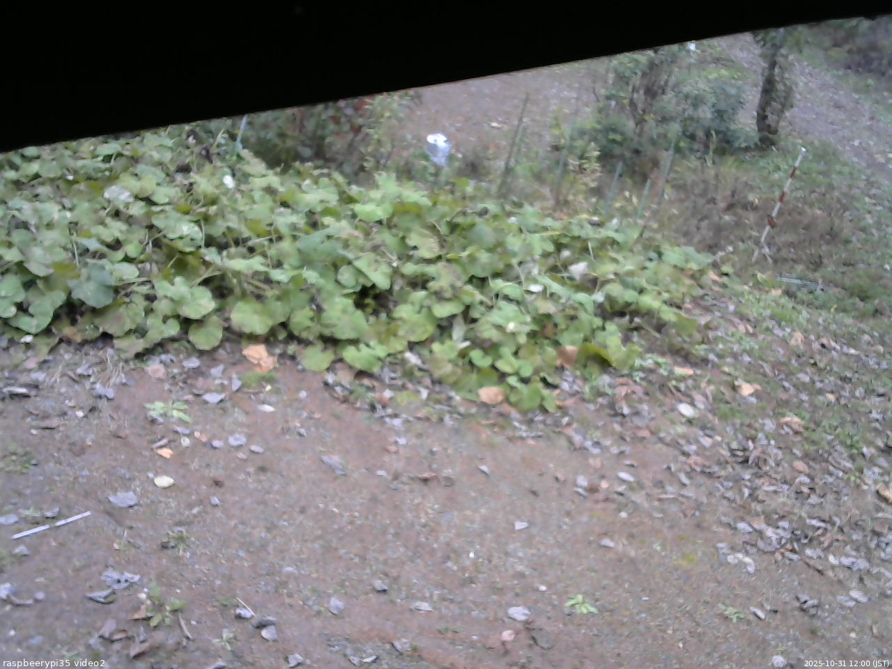 長野県菅平高原 ゆたか山荘 駐車場 2025/10/31 12:00