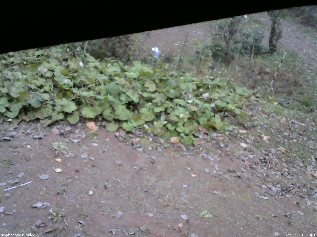 長野県菅平高原 ゆたか山荘 駐車場 2025/10/31 15:30