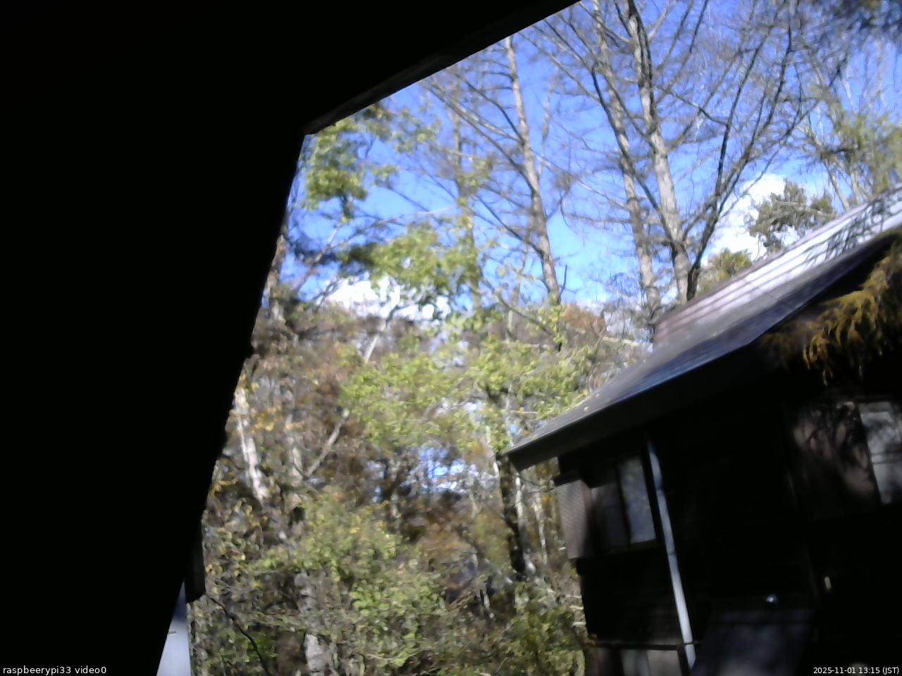 長野県菅平高原 ゆたか山荘 北側 2025/11/01 13:15