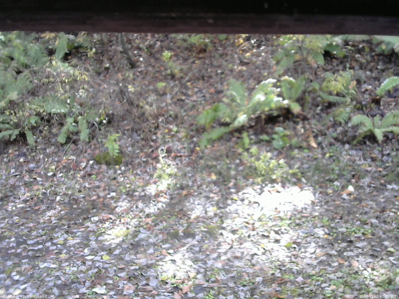 長野県菅平高原 ゆたか山荘 南側 2025/11/01 11:45
