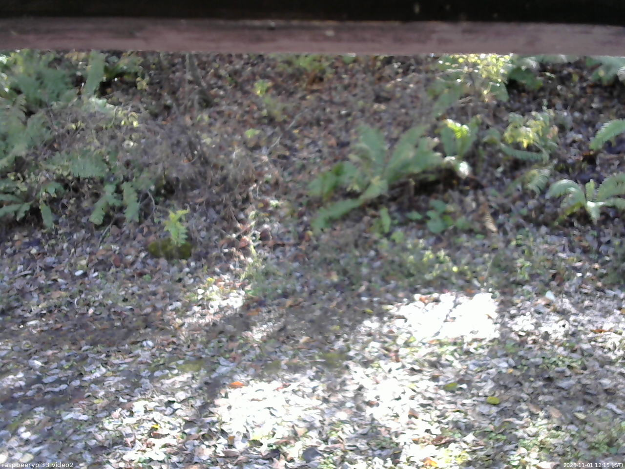 長野県菅平高原 ゆたか山荘 南側 2025/11/01 12:15