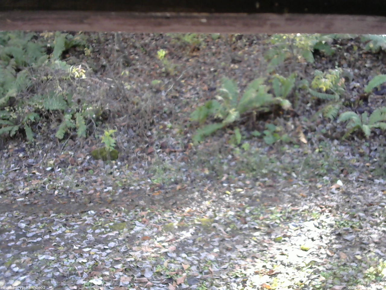 長野県菅平高原 ゆたか山荘 南側 2025/11/01 13:00