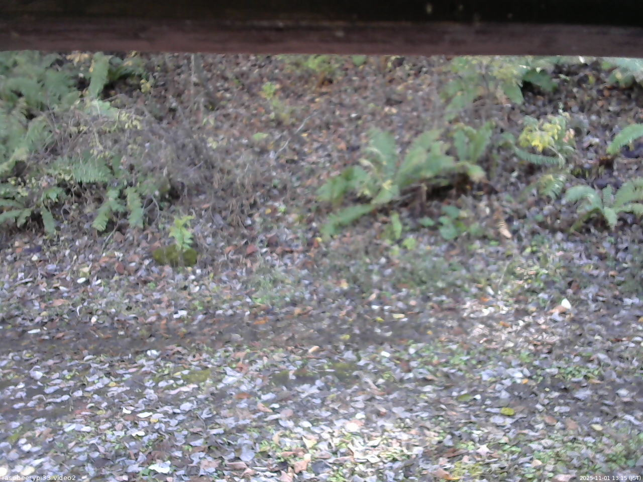 長野県菅平高原 ゆたか山荘 南側 2025/11/01 13:15