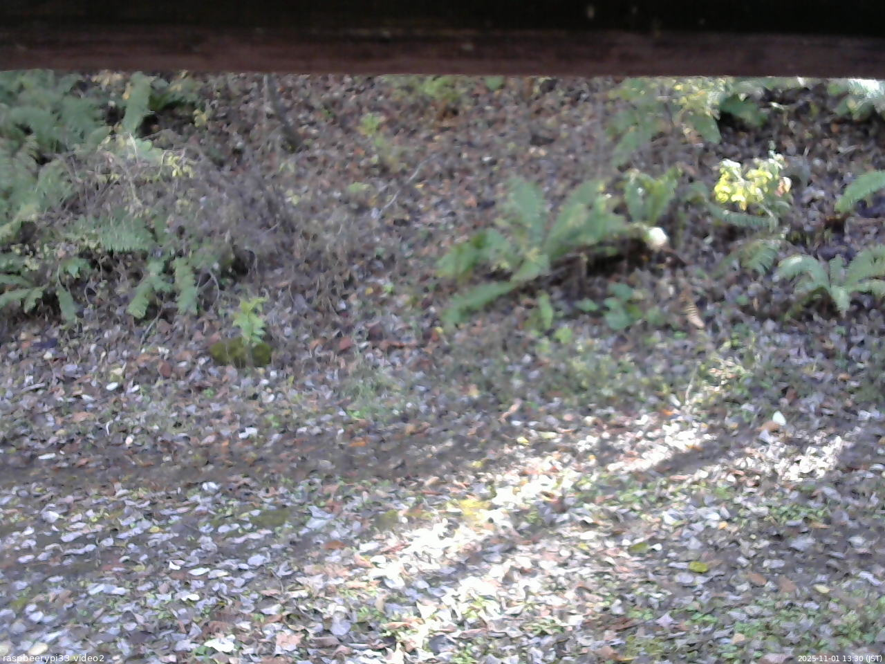 長野県菅平高原 ゆたか山荘 南側 2025/11/01 13:30