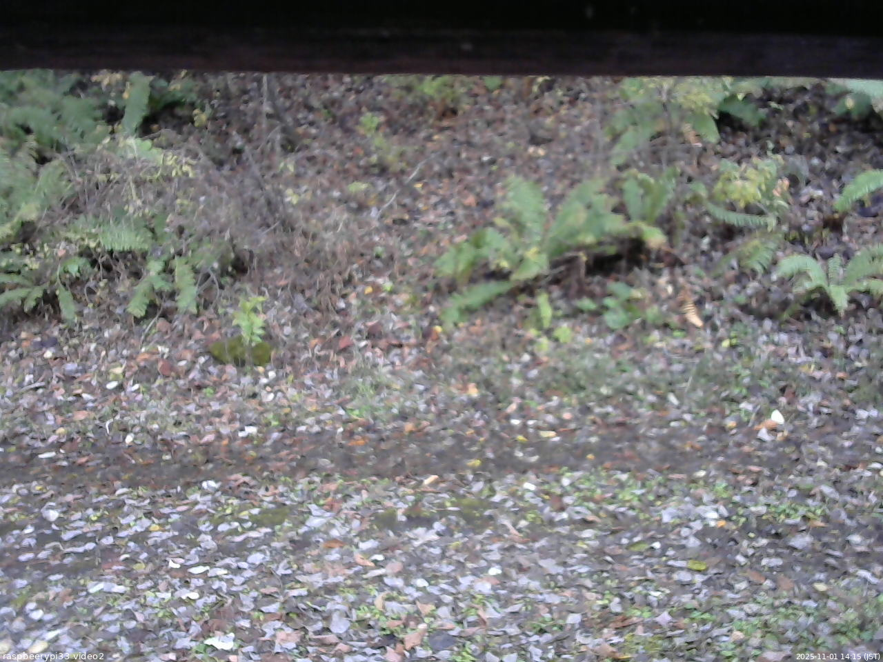 長野県菅平高原 ゆたか山荘 南側 2025/11/01 14:15