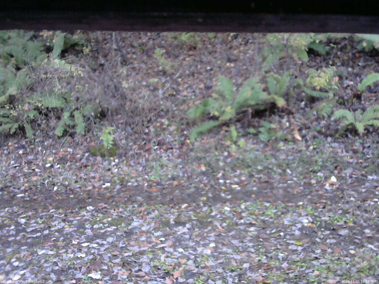 長野県菅平高原 ゆたか山荘 南側 2025/11/01 16:15