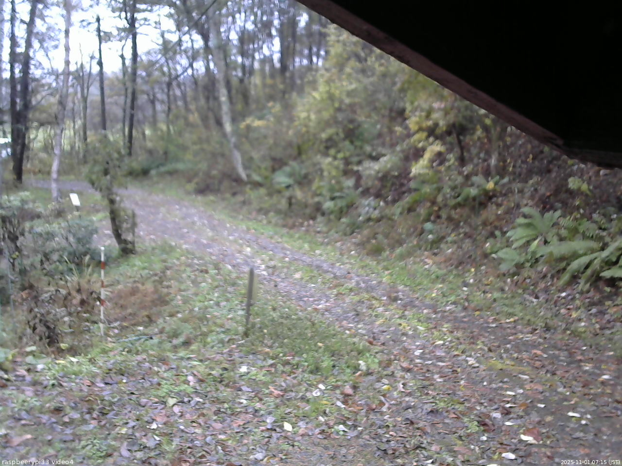 長野県菅平高原 ゆたか山荘 東側(坂下) 2025/11/01 07:15
