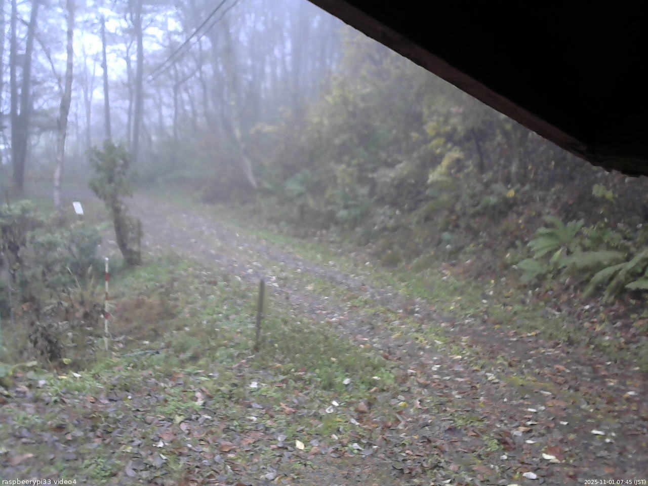 長野県菅平高原 ゆたか山荘 東側(坂下) 2025/11/01 07:45