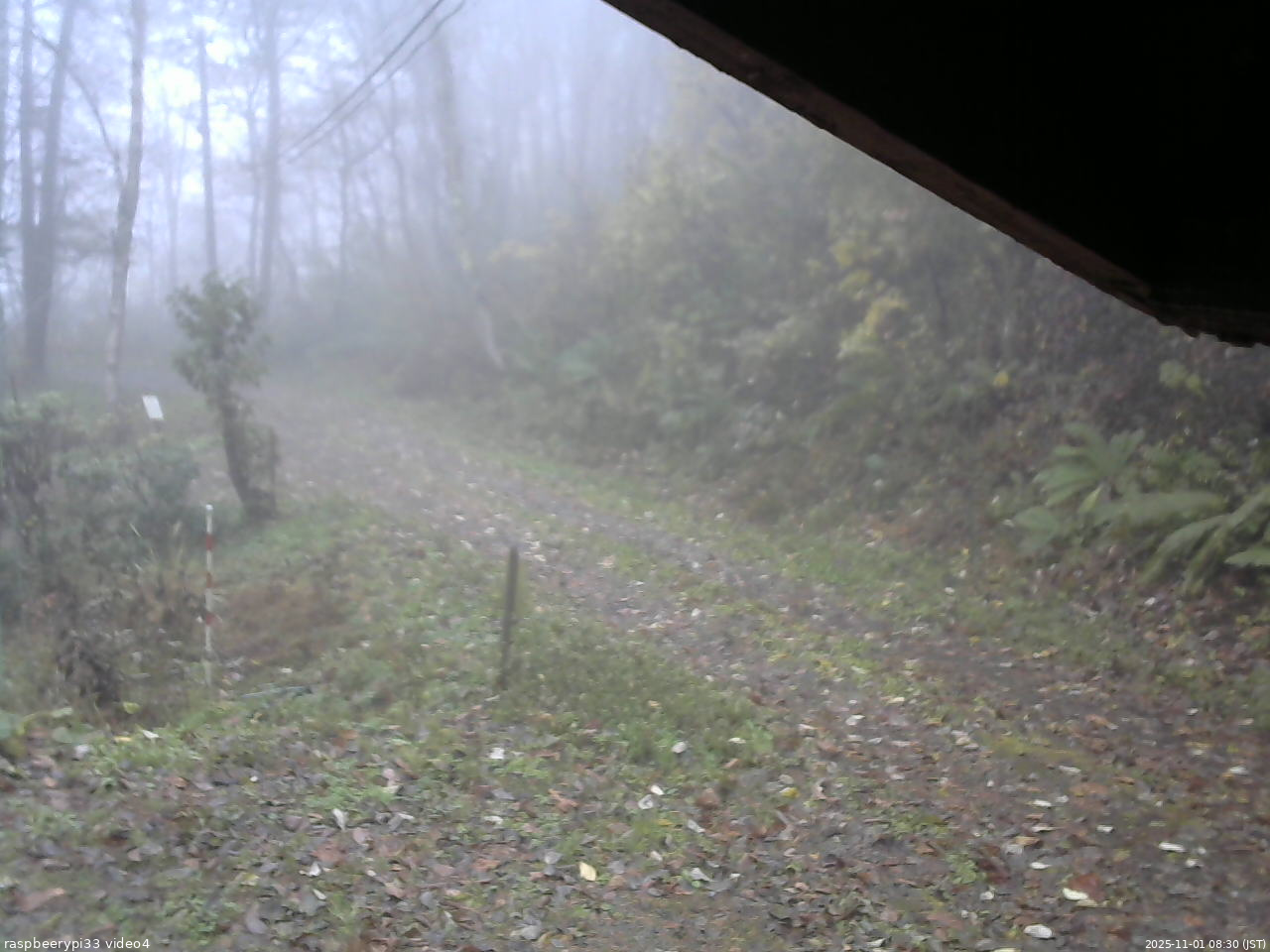 長野県菅平高原 ゆたか山荘 東側(坂下) 2025/11/01 08:30