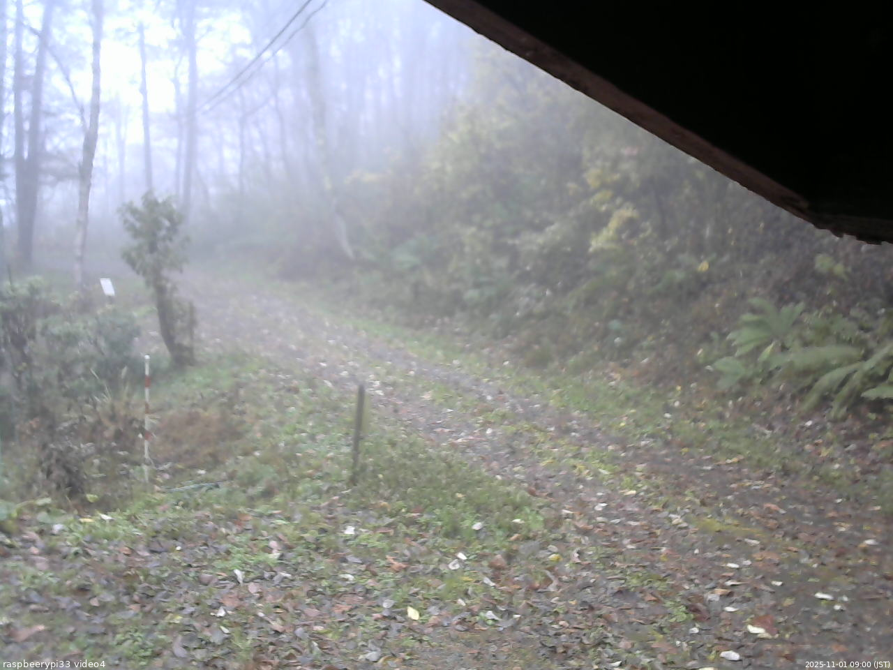 長野県菅平高原 ゆたか山荘 東側(坂下) 2025/11/01 09:00