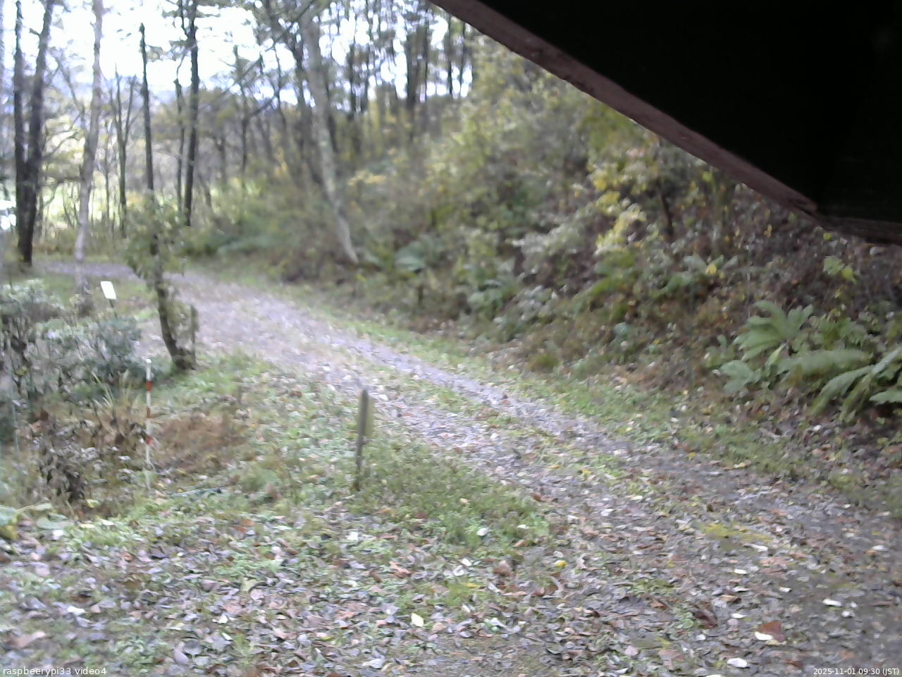 長野県菅平高原 ゆたか山荘 東側(坂下) 2025/11/01 09:30