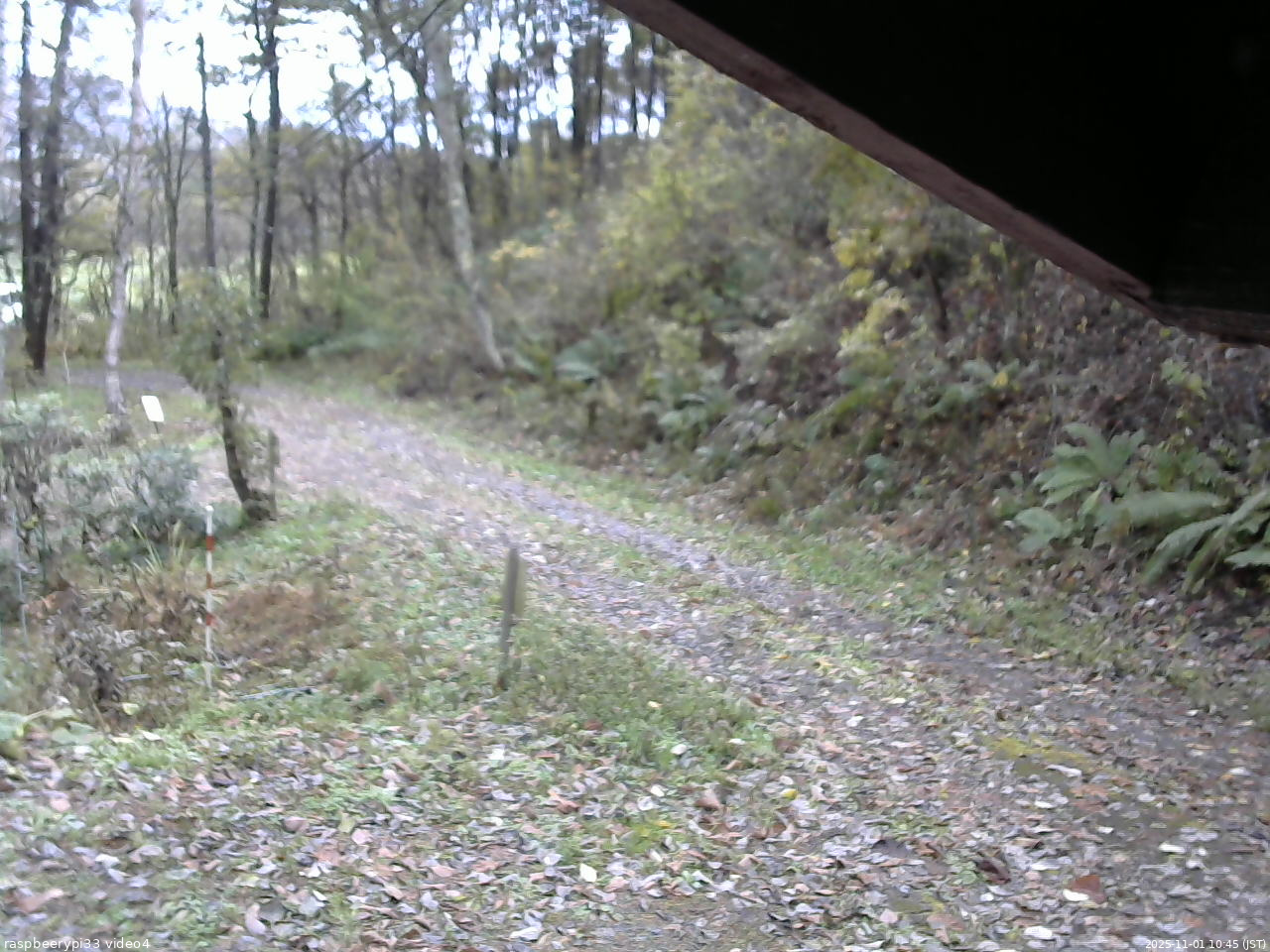 長野県菅平高原 ゆたか山荘 東側(坂下) 2025/11/01 10:45
