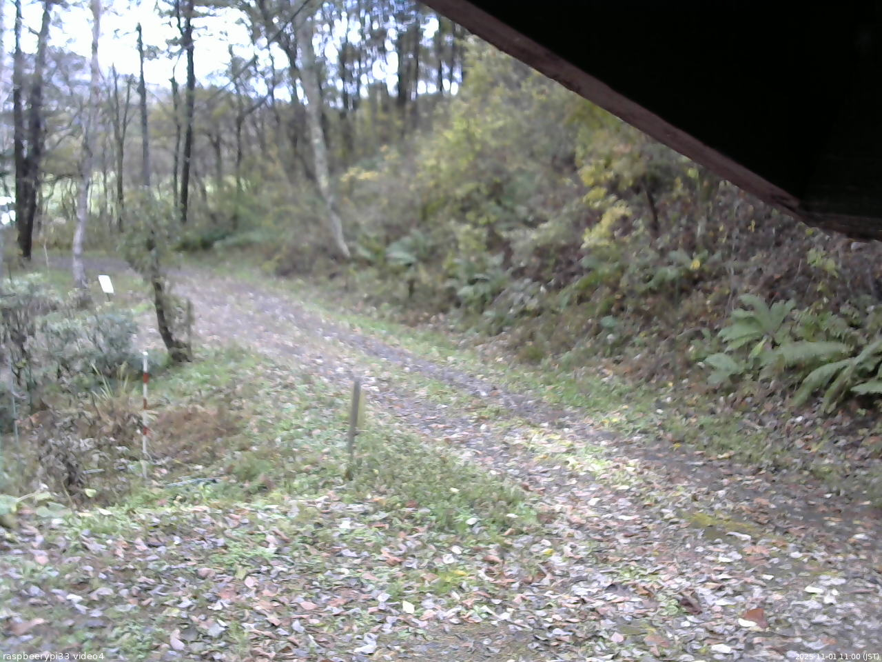 長野県菅平高原 ゆたか山荘 東側(坂下) 2025/11/01 11:00