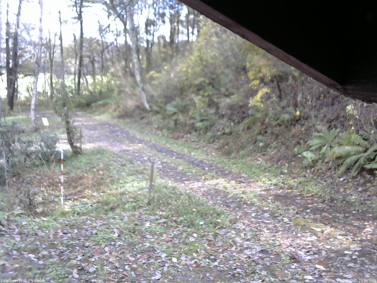 長野県菅平高原 ゆたか山荘 東側(坂下) 2025/11/01 11:45
