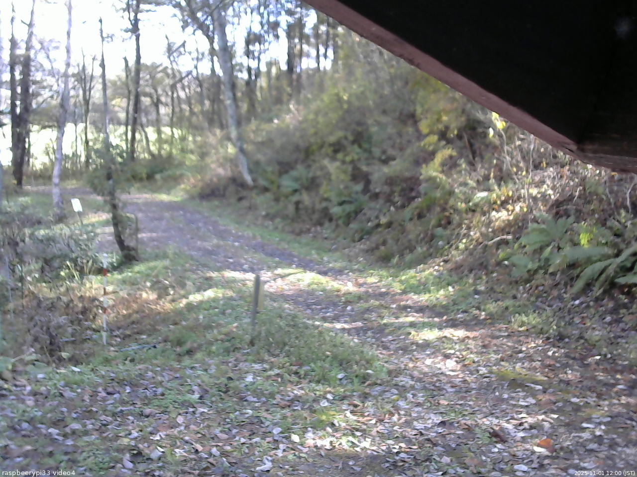 長野県菅平高原 ゆたか山荘 東側(坂下) 2025/11/01 12:00