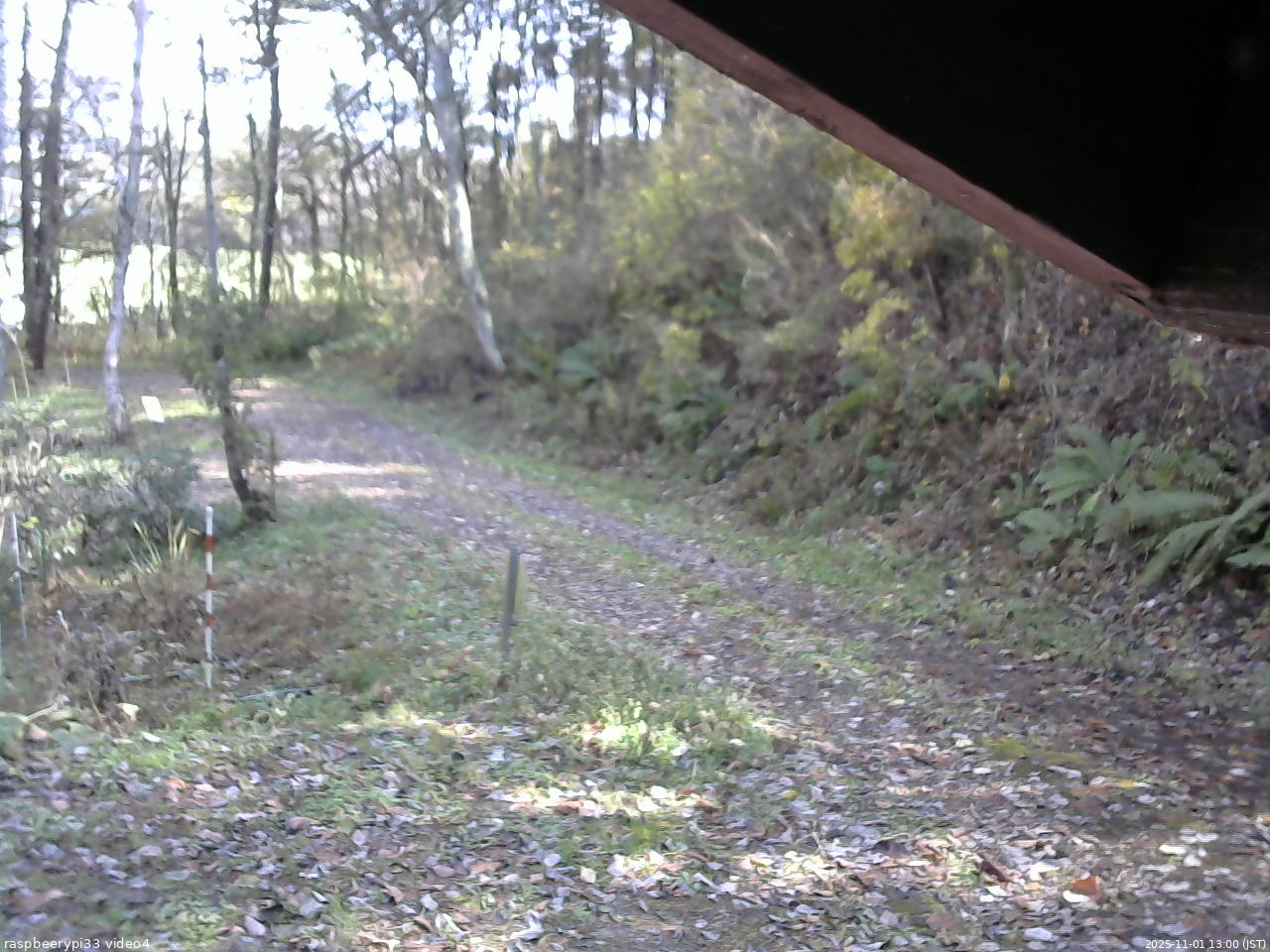 長野県菅平高原 ゆたか山荘 東側(坂下) 2025/11/01 13:00