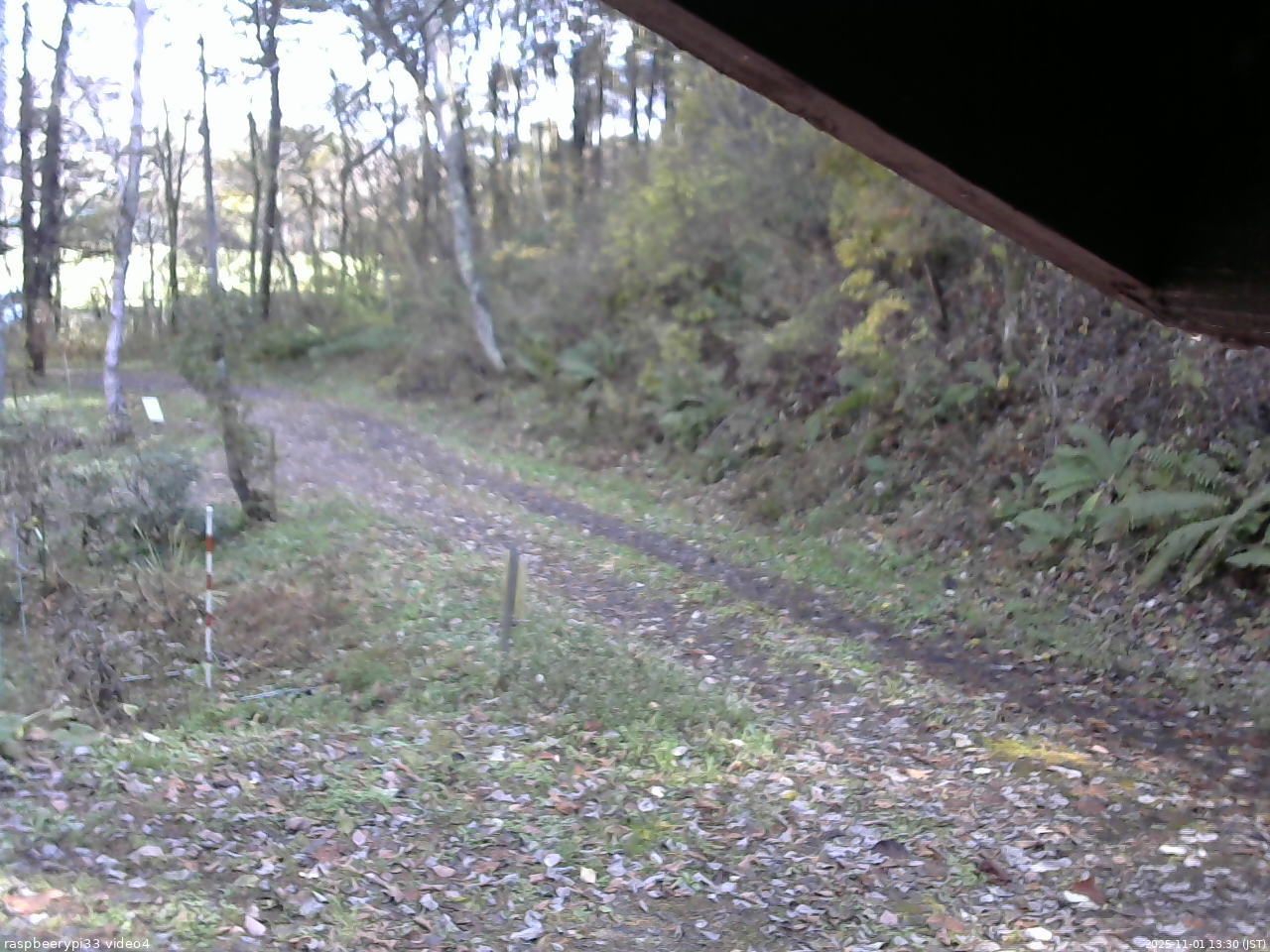 長野県菅平高原 ゆたか山荘 東側(坂下) 2025/11/01 13:30
