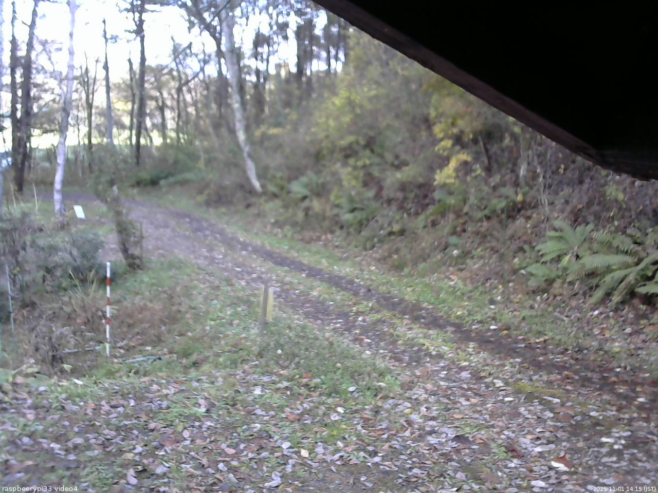 長野県菅平高原 ゆたか山荘 東側(坂下) 2025/11/01 14:15