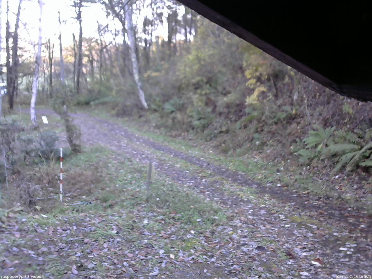 長野県菅平高原 ゆたか山荘 東側(坂下) 2025/11/01 15:30