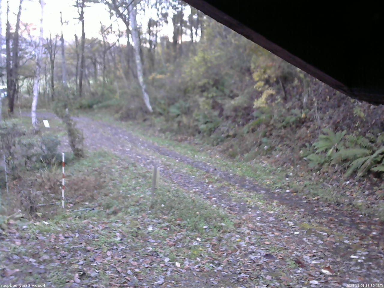 長野県菅平高原 ゆたか山荘 東側(坂下) 2025/11/01 16:30