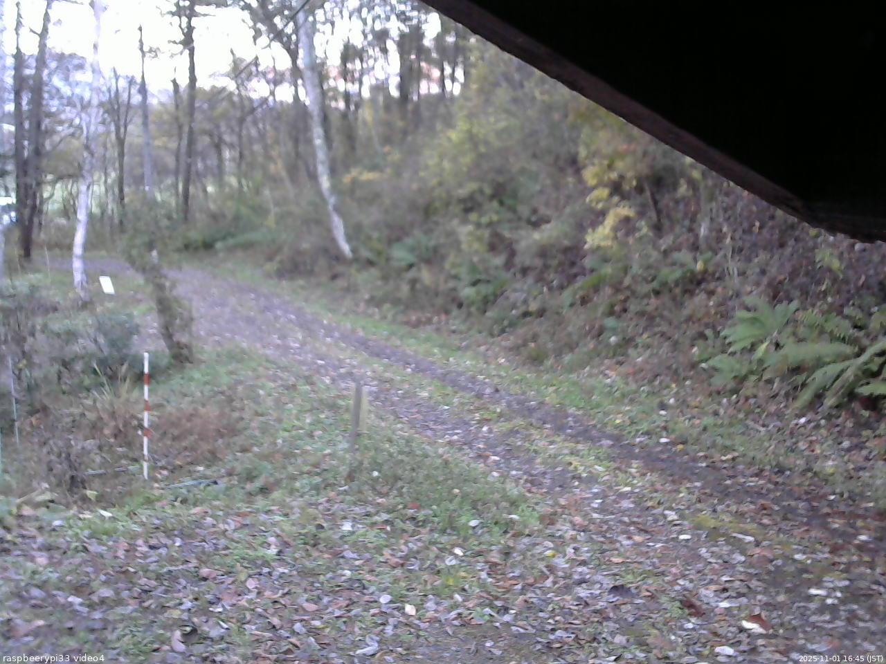 長野県菅平高原 ゆたか山荘 東側(坂下) 2025/11/01 16:45