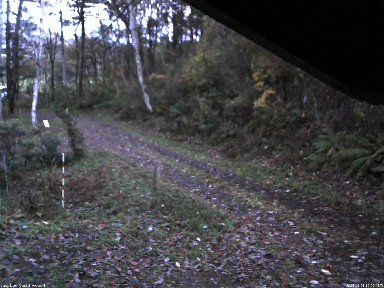 長野県菅平高原 ゆたか山荘 東側(坂下) 2025/11/01 17:00