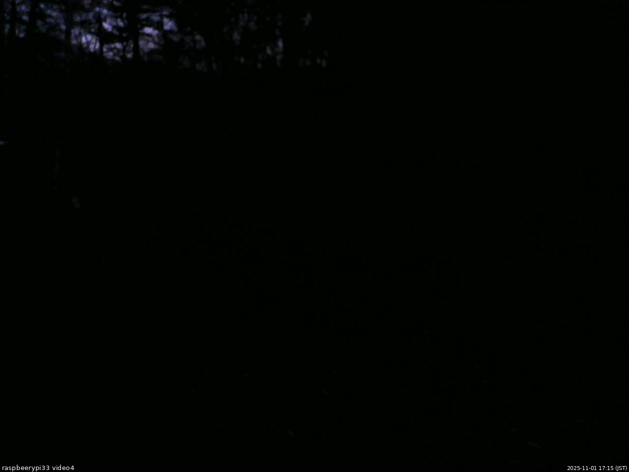長野県菅平高原 ゆたか山荘 東側(坂下) 2025/11/01 17:15