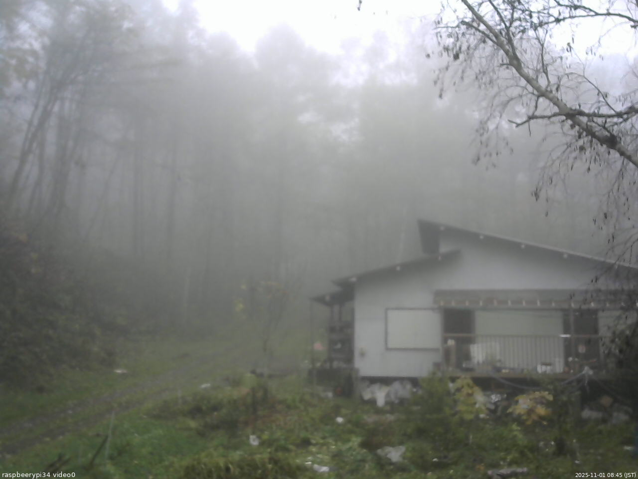長野県菅平高原 ゆたか山荘 西側(坂上) 2025/11/01 08:45