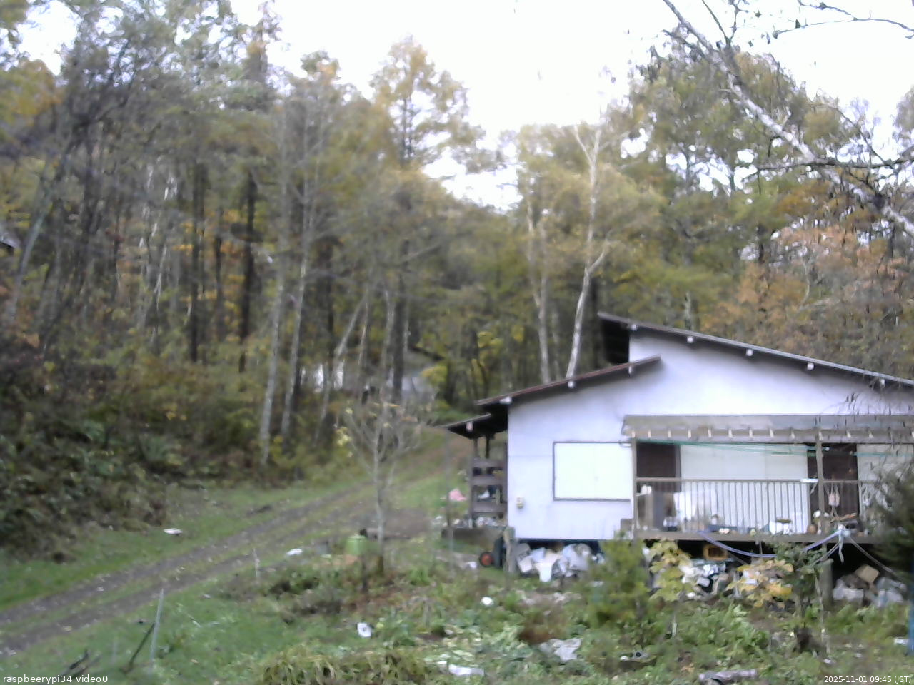 長野県菅平高原 ゆたか山荘 西側(坂上) 2025/11/01 09:45