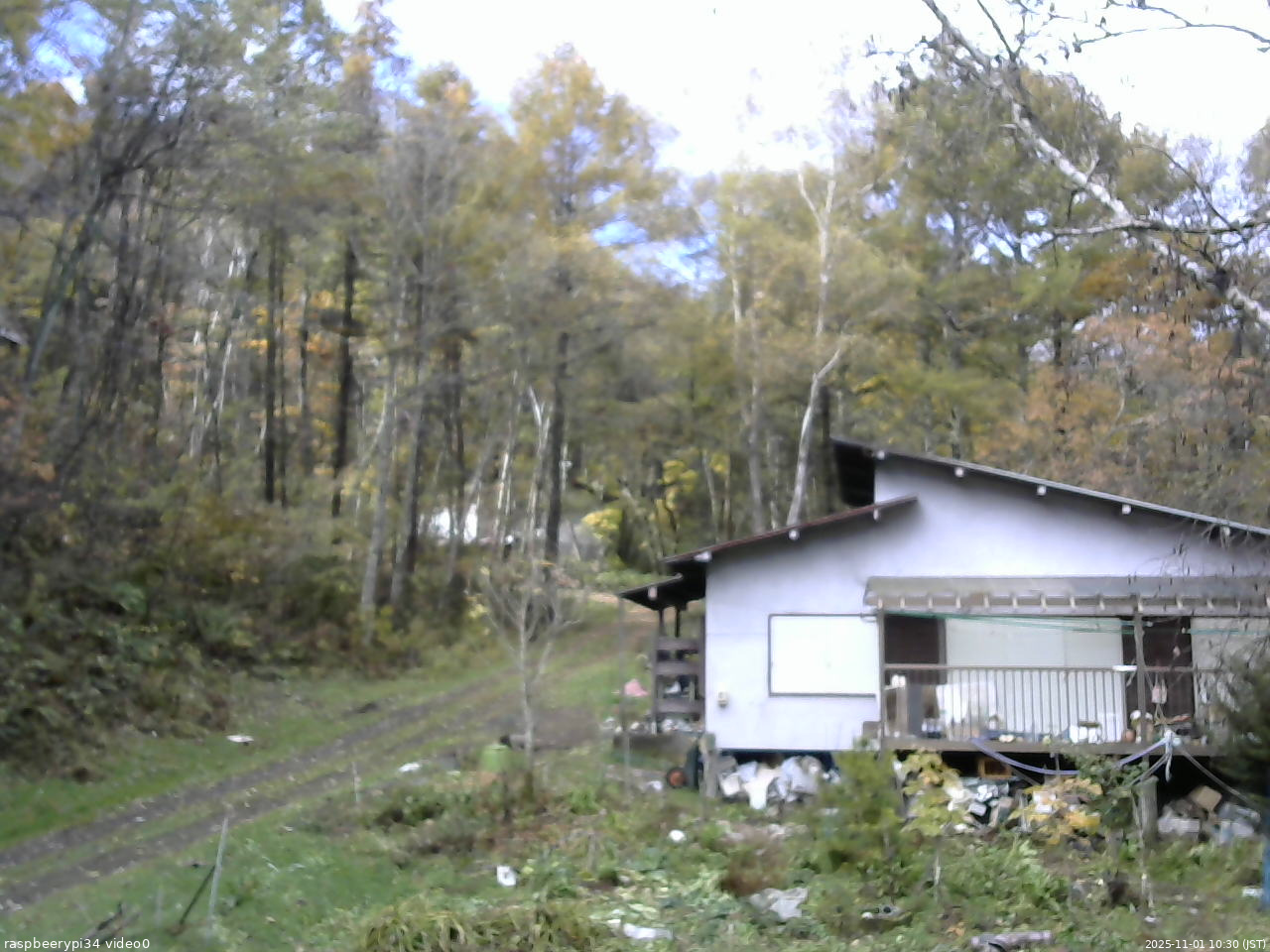 長野県菅平高原 ゆたか山荘 西側(坂上) 2025/11/01 10:30