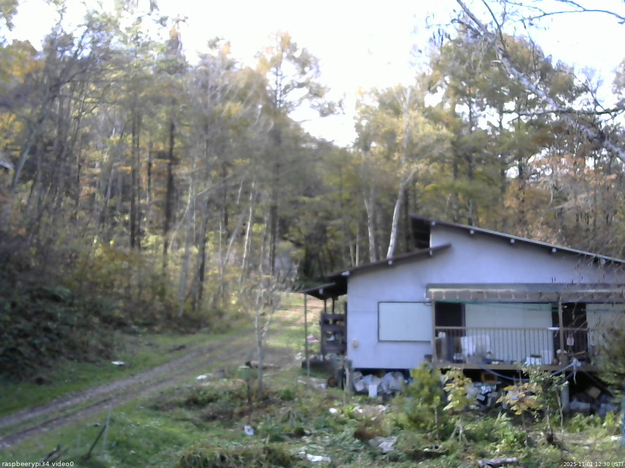 長野県菅平高原 ゆたか山荘 西側(坂上) 2025/11/01 12:30