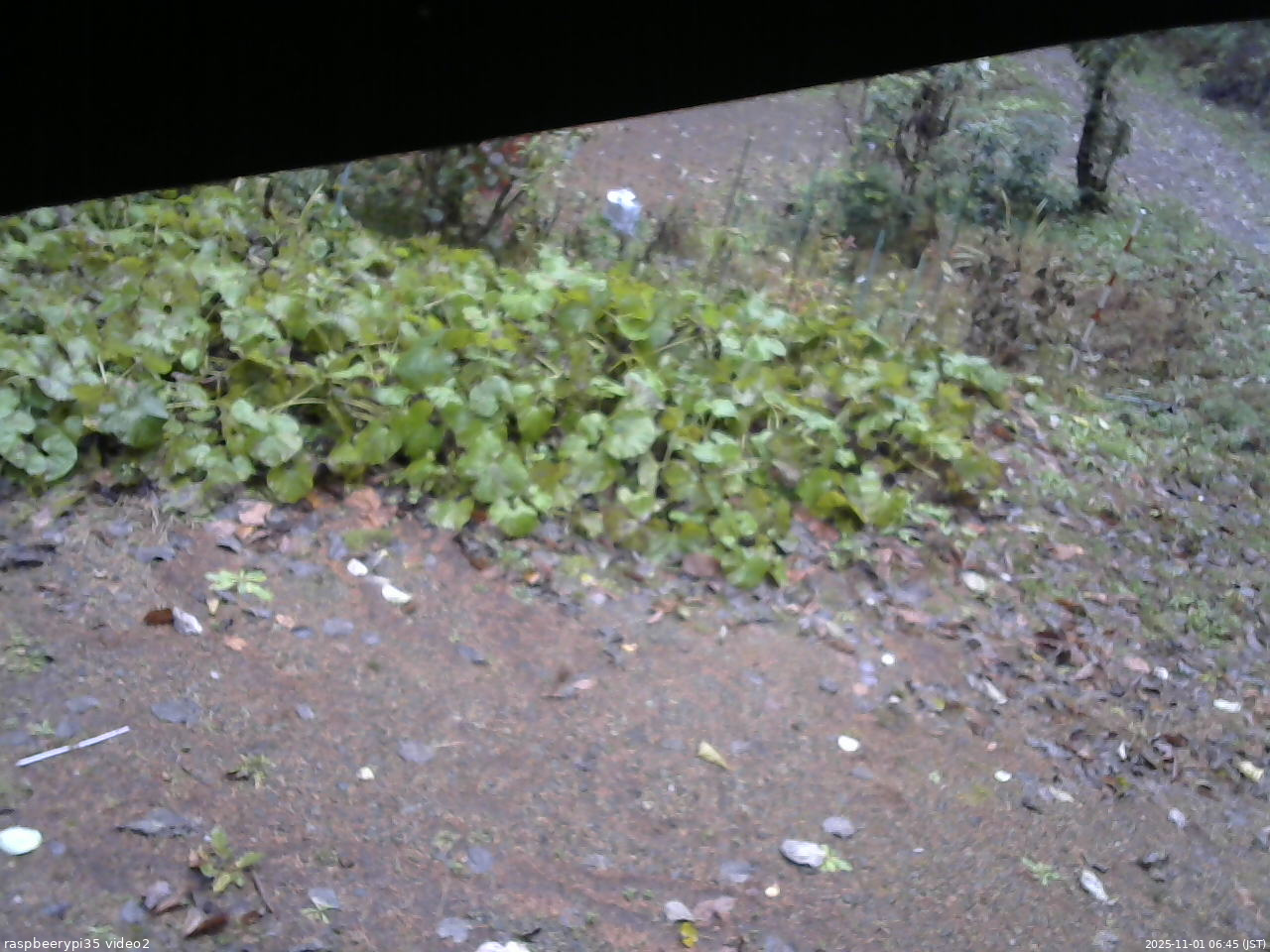 長野県菅平高原 ゆたか山荘 駐車場 2025/11/01 06:45