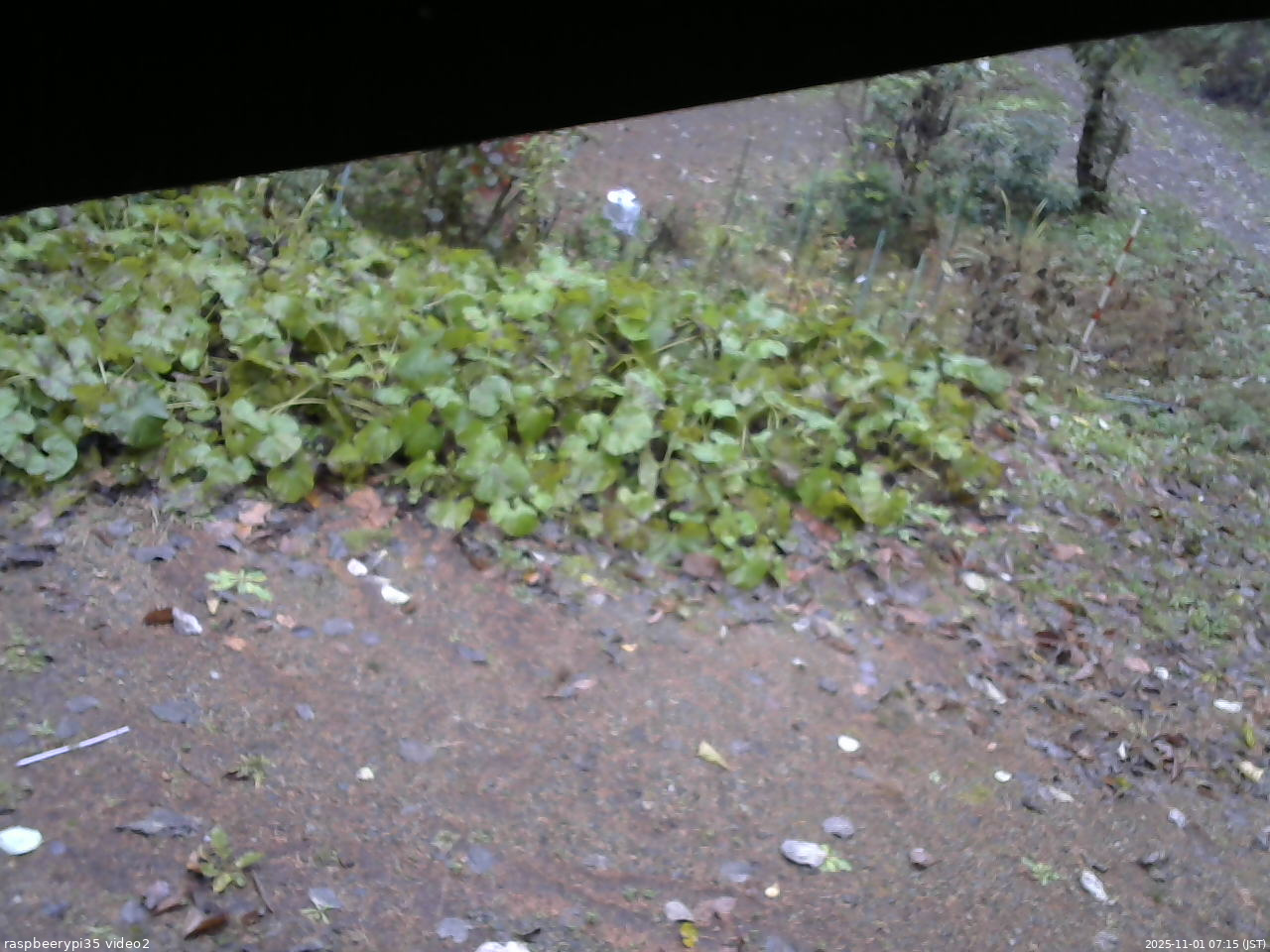 長野県菅平高原 ゆたか山荘 駐車場 2025/11/01 07:15