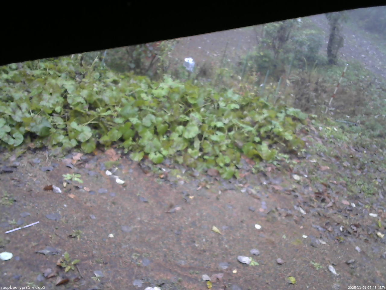 長野県菅平高原 ゆたか山荘 駐車場 2025/11/01 07:45