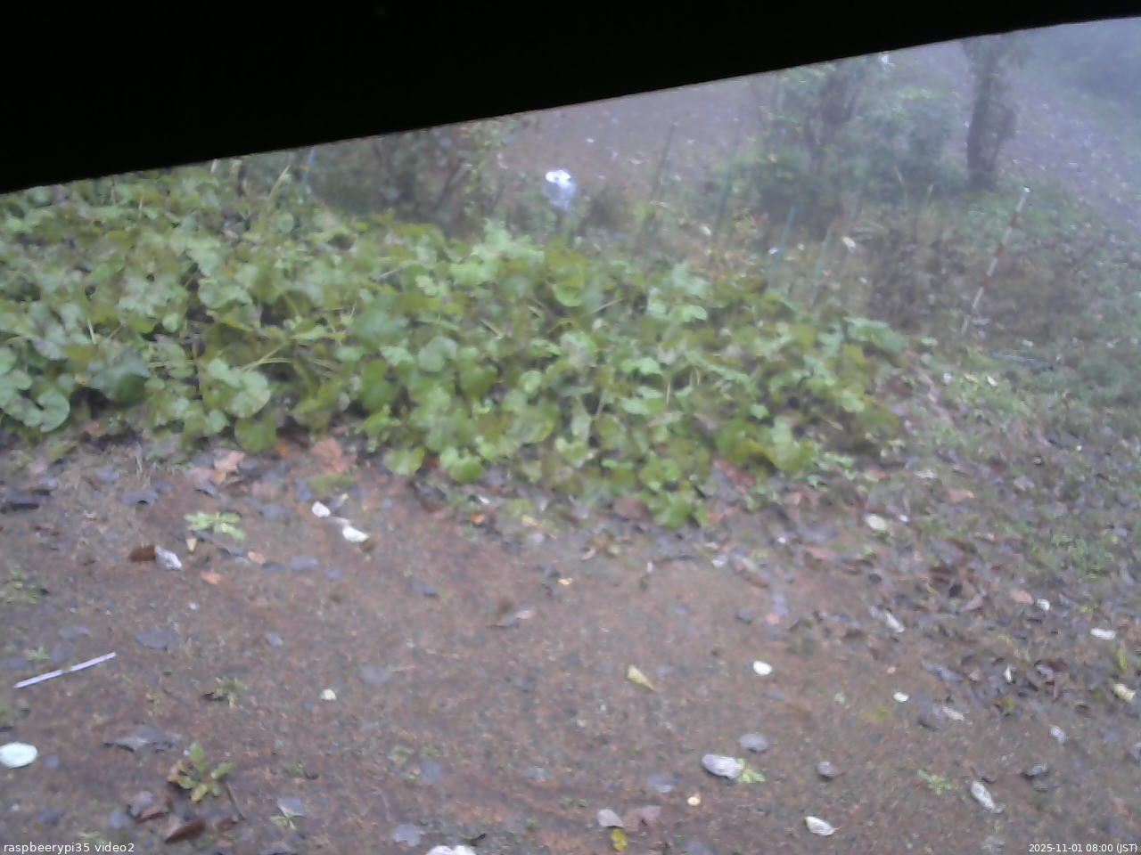 長野県菅平高原 ゆたか山荘 駐車場 2025/11/01 08:00