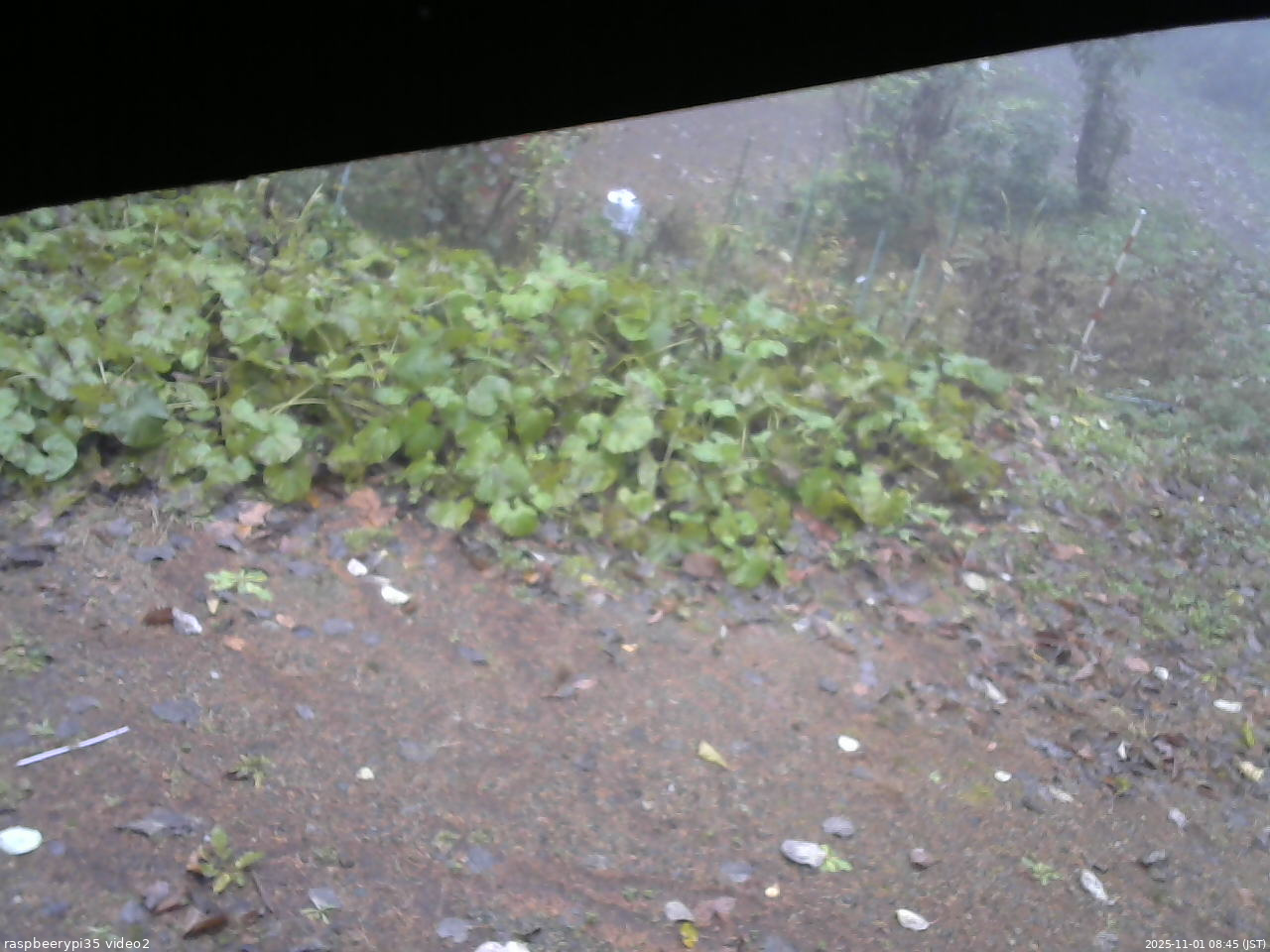 長野県菅平高原 ゆたか山荘 駐車場 2025/11/01 08:45