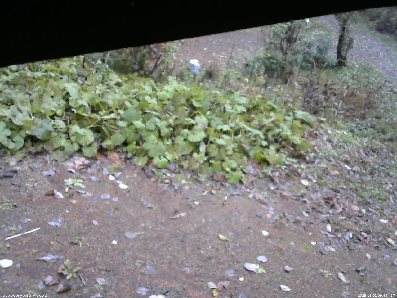 長野県菅平高原 ゆたか山荘 駐車場 2025/11/01 09:45
