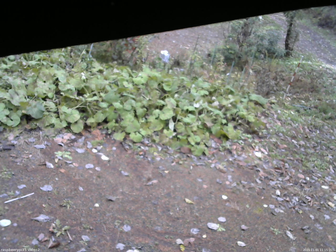 長野県菅平高原 ゆたか山荘 駐車場 2025/11/01 11:15