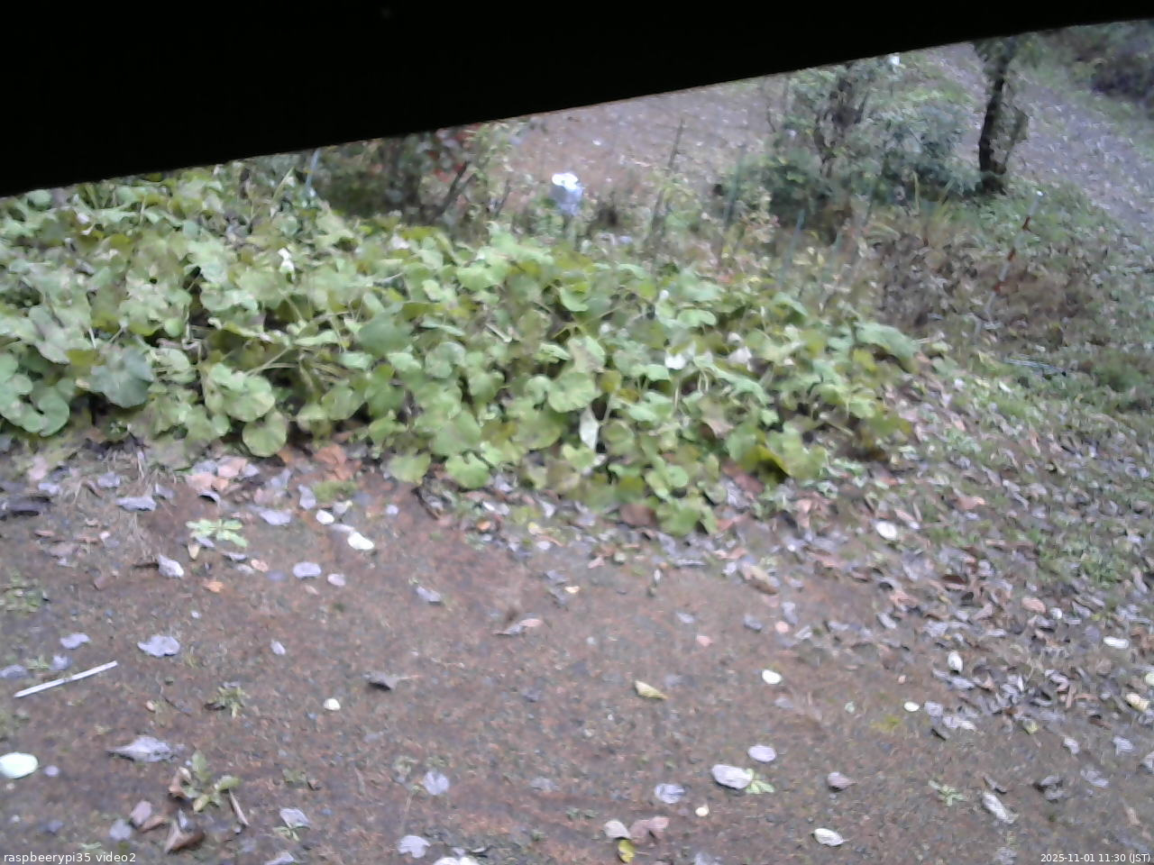 長野県菅平高原 ゆたか山荘 駐車場 2025/11/01 11:30