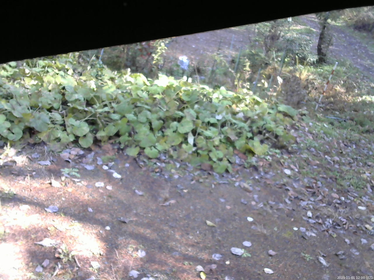 長野県菅平高原 ゆたか山荘 駐車場 2025/11/01 12:00