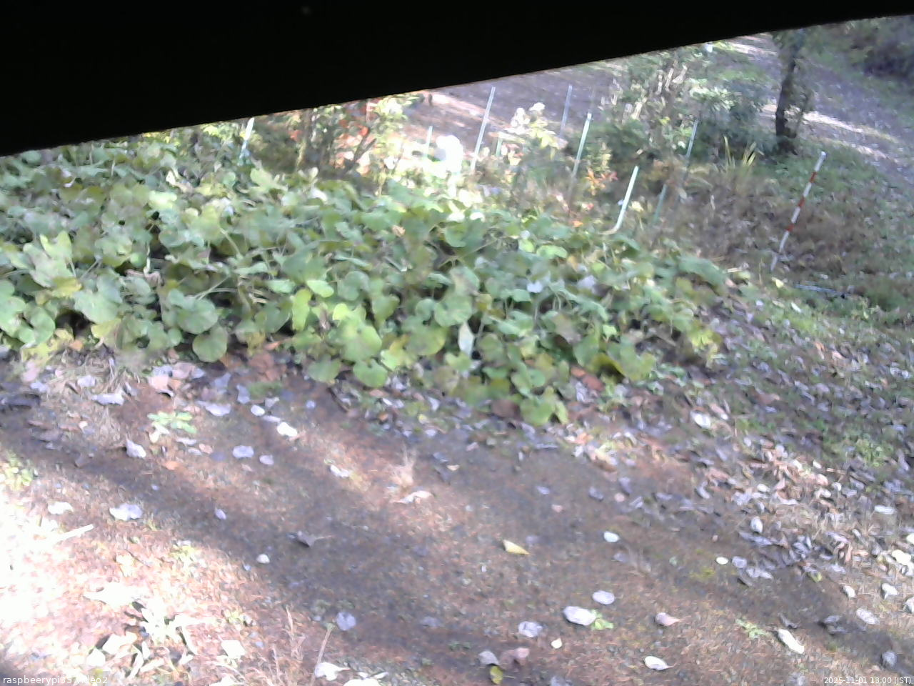 長野県菅平高原 ゆたか山荘 駐車場 2025/11/01 13:00