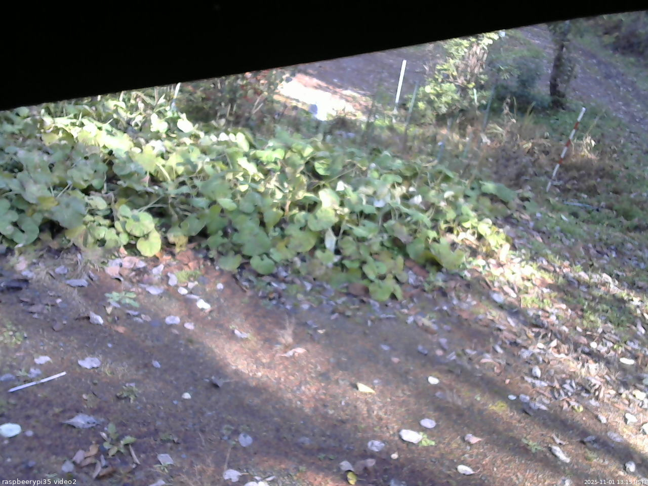 長野県菅平高原 ゆたか山荘 駐車場 2025/11/01 13:15