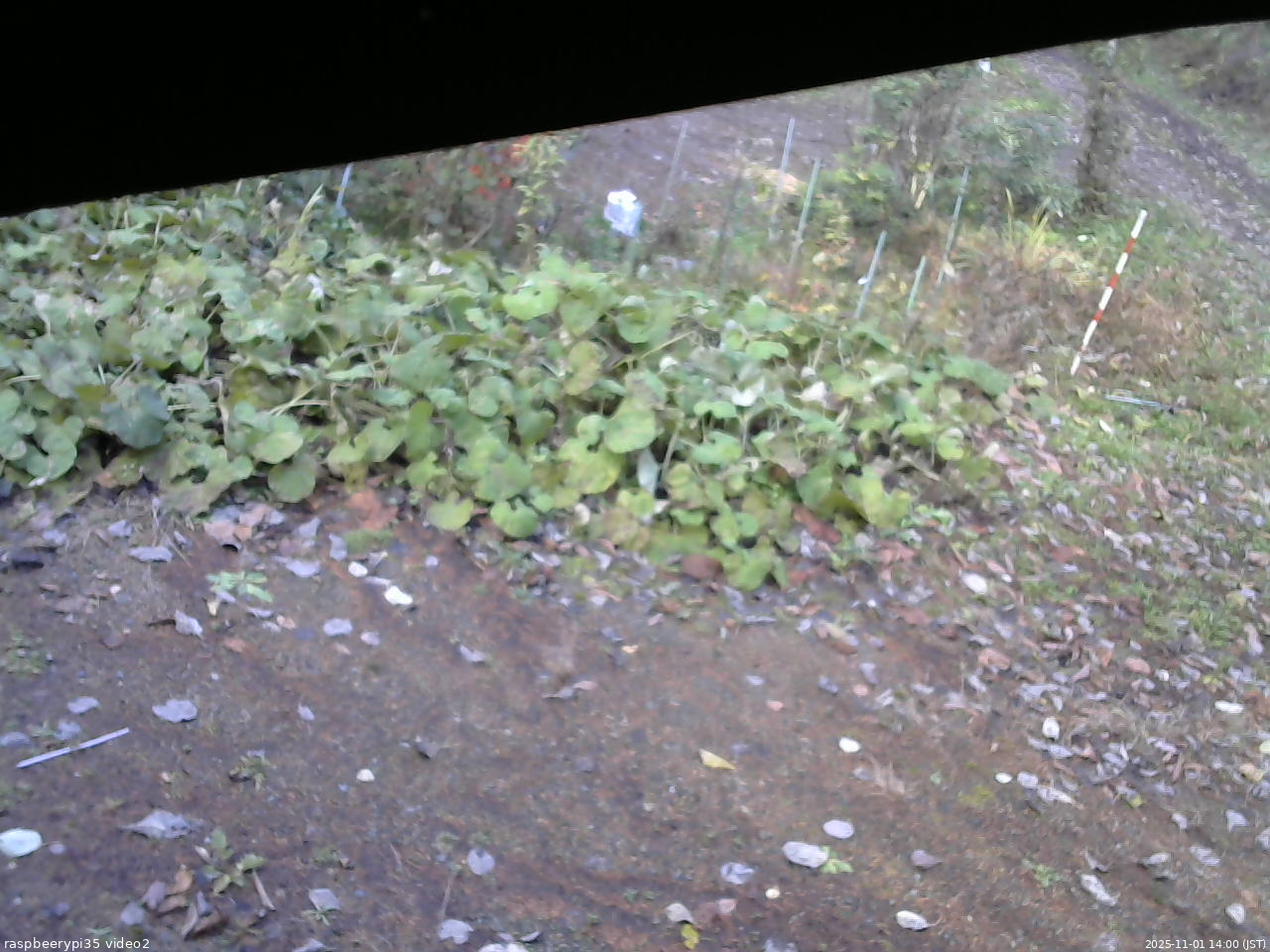 長野県菅平高原 ゆたか山荘 駐車場 2025/11/01 14:00